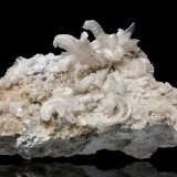 Gypsum
mm.70x70x55
(Autor: Diego Pucci)