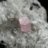 Fluorapatite and Calcite
73x50x43mm, aggregate=25x15mm, fluorapatite xl=6mm
(Autor: Fiebre Verde)