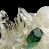 Beryl (variety emerald), Quartz
40mm across, xl=7mm
(Autor: Fiebre Verde)