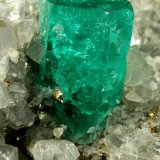 Beryl (variety emerald), Calcite, Pyrite
xl=14mm
(Autor: Fiebre Verde)