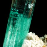 Beryl (variety emerald), Albite (variety cleavelandite), Pyrite
crystal=45mm
(Autor: Fiebre Verde)