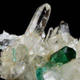 Beryl (variety emerald), Quartz
40mm across, xl=7mm
(Autor: Fiebre Verde)