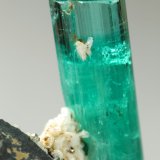 Beryl (variety emerald), Albite (variety cleavelandite), Pyrite
crystal=45mm
(Autor: Fiebre Verde)