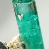 Beryl (variety emerald), Albite (variety cleavelandite), Pyrite
crystal=45mm
(Autor: Fiebre Verde)