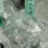 Beryl (variety emerald), Calcite
49x44x36mm, xls=6 &amp; 4mm
(Autor: Fiebre Verde)