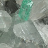 Beryl (variety emerald), Calcite
49x44x36mm, xls=6 &amp; 4mm
(Autor: Fiebre Verde)