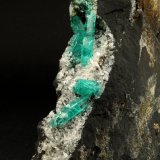 Beryl (variety emerald), Albite (variety cleavelandite)
190x35x115mm, longest xl=32mm
(Autor: Fiebre Verde)