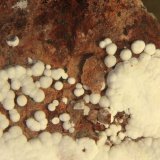 Aragonite
FOV 70 mm
(Autor: Firmo Espinar)