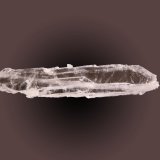 Quartz (variety faden)
78mm x 18mm x 5mm
(Autor: Firmo Espinar)