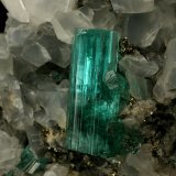 Beryl (variety emerald), Calcite, Pyrite
40x42x42mm, xl=18mm
(Autor: Fiebre Verde)