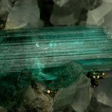 Beryl (variety emerald), Calcite, Pyrite
40x42x42mm, xl=18mm
(Autor: Fiebre Verde)