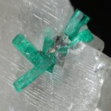 Beryl (variety emerald), Calcite
47mm x 38mm x 29mm, largest xl=19mm
(Autor: Fiebre Verde)