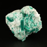 Beryl (variety emerald), Dolomite, Pyrite
42mm across, xls up to 14mm
(Autor: Fiebre Verde)