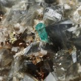 Beryl (variety emerald), Pyrite, Dolomite, Albite (variety cleavelandite)
26mm x 31mm x 21mm, xl=2mm
(Autor: Fiebre Verde)