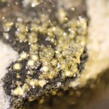 Brackebuschite
FOV 9 mm
(Autor: Firmo Espinar)