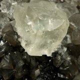 Beryl (variety emerald), Calcite, Fluorite
Fluorite largest side=17mm
(Autor: Fiebre Verde)