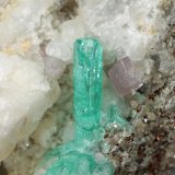 Beryl (variety emerald), Pyrite, Calcite, Fluorapatite, Albite (variety cleavelandite)
148mm x 87mm x 80mm, xl=15mm
(Autor: Fiebre Verde)