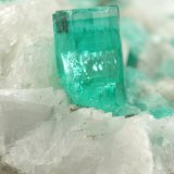Beryl (variety emerald), Calcite, Pyrite
59x50x33mm, xl=8mm
(Autor: Fiebre Verde)