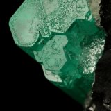 Beryl (variety emerald), Calcite
58x31x34mm, xl aggregate=25x8mm
(Autor: Fiebre Verde)