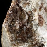 Beryl (variety emerald), Pyrite, Calcite, Fluorapatite, Albite (variety cleavelandite)
148mm x 87mm x 80mm, xl=15mm
(Autor: Fiebre Verde)