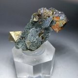 Pyrite, 'Chlorite'
51,7 x 24 mm
(Autor: Sante Celiberti)