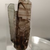 Quartz (variety smoky)
35 x 14 mm
(Autor: Sante Celiberti)