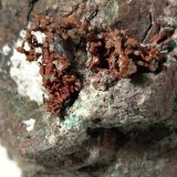 Copper
52,5 x 44,3 mm
(Autor: Sante Celiberti)