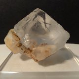 Fluorite
48 x 54 mm
(Autor: Sante Celiberti)