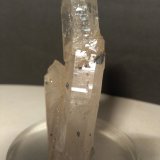Anatase, Quartz
77 x 32 mm
(Autor: Sante Celiberti)