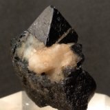 Magnetite
31 x 29 mm
(Autor: Sante Celiberti)