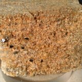 Anatase, Quartz
61 x 64 mm
(Autor: Sante Celiberti)