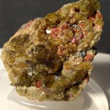 Epidote, Grossular (variety hessonite), Clinochlore
45 x 40 mm
(Autor: Sante Celiberti)