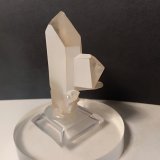 Quartz (variety japan law twin)
52 x 33 mm
(Autor: Sante Celiberti)