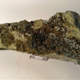 Diopside, Epidote
290 x 100 mm
(Autor: Sante Celiberti)