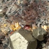 Pyrite, Quartz (variety amethyst)
310 x 120 mm
(Autor: Sante Celiberti)