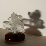 Quartz
28 x 19 mm
(Autor: Sante Celiberti)