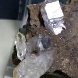 Quartz
75 x 65 mm
(Autor: Sante Celiberti)