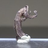 Silver
15 x 10 mm
(Autor: Sante Celiberti)