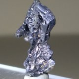 Acanthite
18 x 10,3 mm
(Autor: Sante Celiberti)