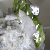 Titanite, Orthoclase (variety adularia)
39,6 x 31,9 mm
(Autor: Sante Celiberti)