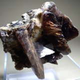 Axinite (Group)
69 x 60 mm
(Autor: Sante Celiberti)