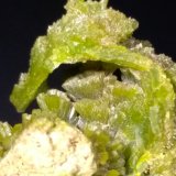Pyromorphite
35,6 x 31,3 mm
(Autor: Sante Celiberti)