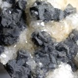 Ullmannite, Quartz
62 x 44 mm
(Autor: Sante Celiberti)