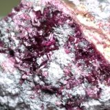 Erythrite
41 x 30 mm
(Autor: Sante Celiberti)
