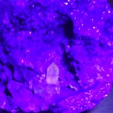 Phosgenite, Anglesite, Galena
77 x 67 mm
(Autor: Sante Celiberti)