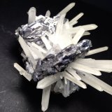Galena, Quartz
82 x 68 mm
(Autor: Sante Celiberti)