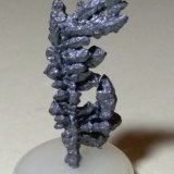 Acanthite
28 x 13 mm
(Autor: Sante Celiberti)