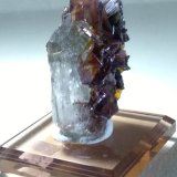 Brookite, Quartz
40 x 26 mm
(Autor: Sante Celiberti)