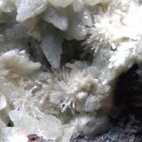 Laumontite
51 x 41 mm
(Autor: Sante Celiberti)