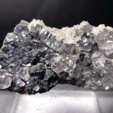 Fluorite, Galena, Calcite
68 x 35 mm
(Autor: Sante Celiberti)